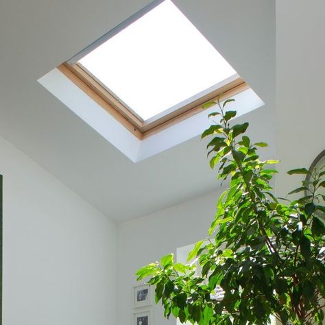 Cupula Acrilica para Techo 68x68